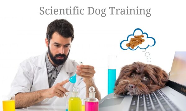 Scientific Dog Training Methods